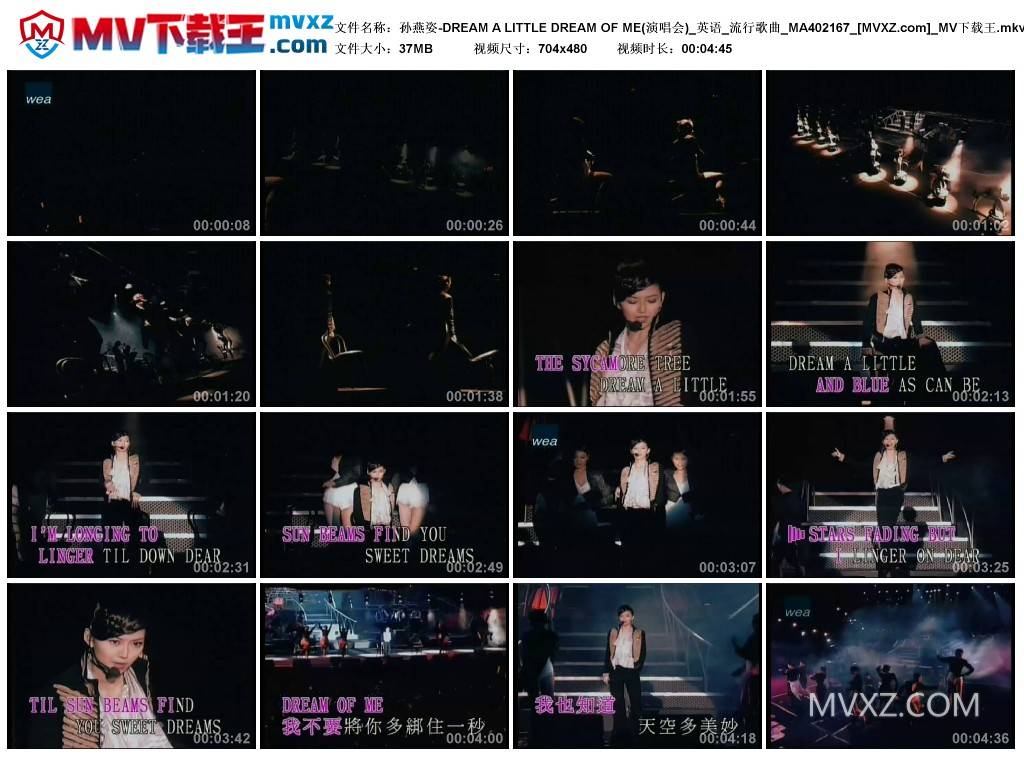 孙燕姿-DREAM A LITTLE DREAM OF ME(演唱会)_英语_流行歌曲_MA402167